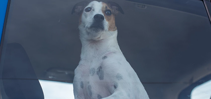 Car Lockout Solutions in Rancho Santa Margarita, California